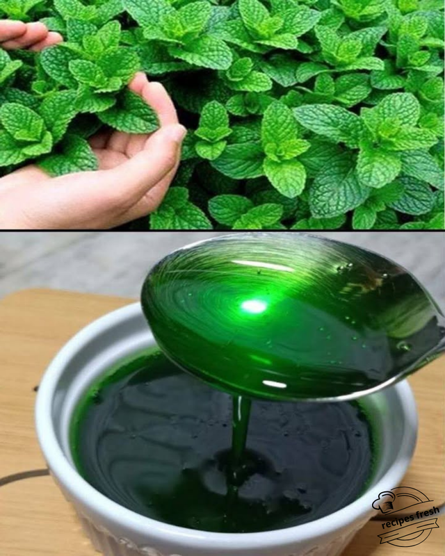 The Magic of Mint: 8 Reasons to Grow Mint + Delicious Mint Tea Recipe