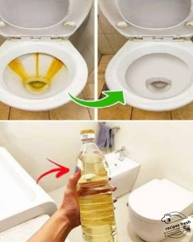 Vinegar in the Toilet: Solving a Common and Embarrassing Problem